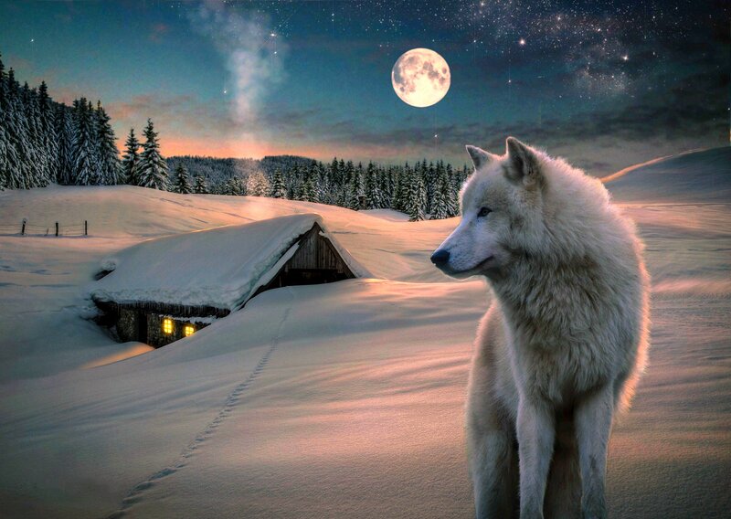 White Wolf in Snow — Serene, Night, Digital Art, Moon, Cabin