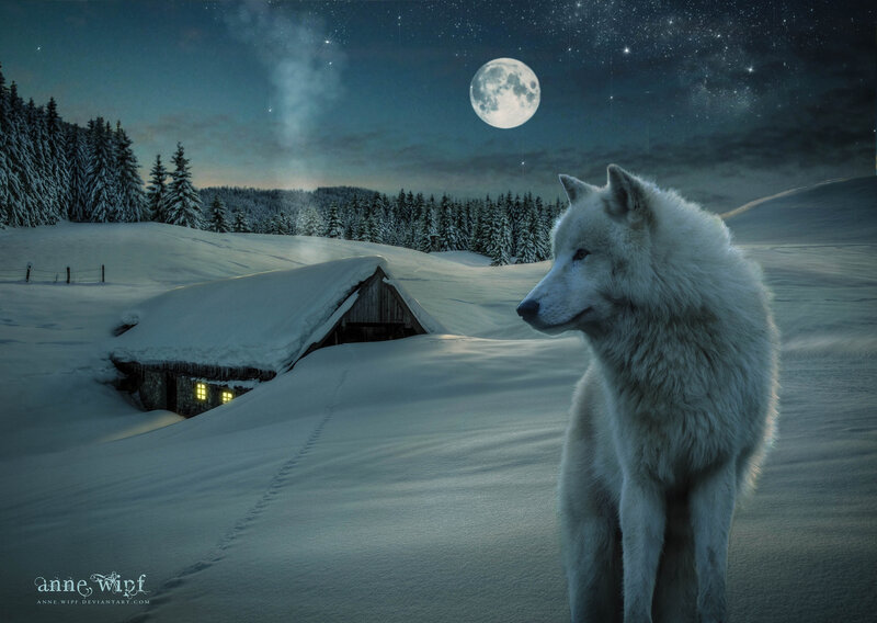 White Wolf in Snow — Serene, Night, Digital Art, Moon