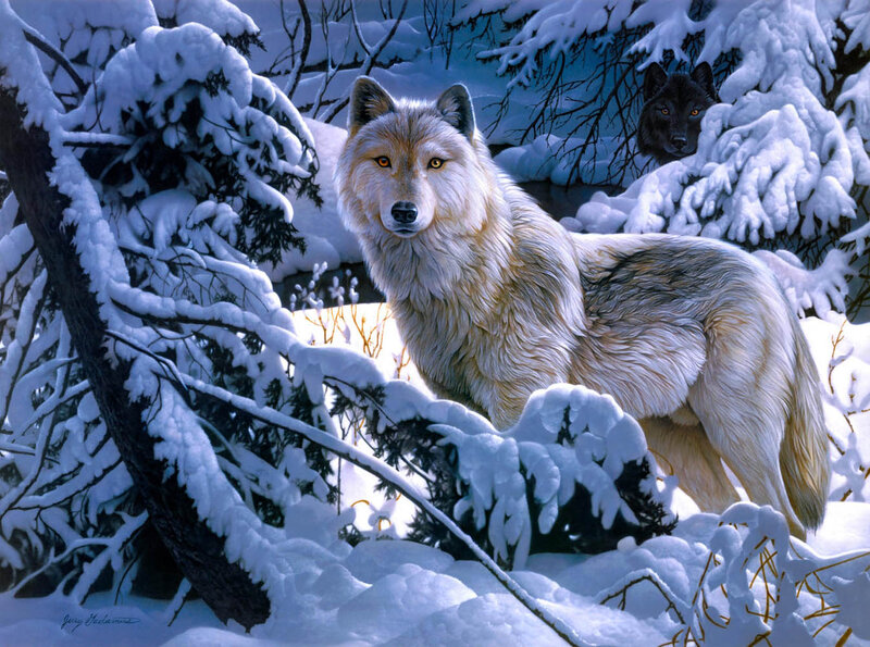 White Wolf in Snow — Serene, Winter, Digital Art, Black Wolf