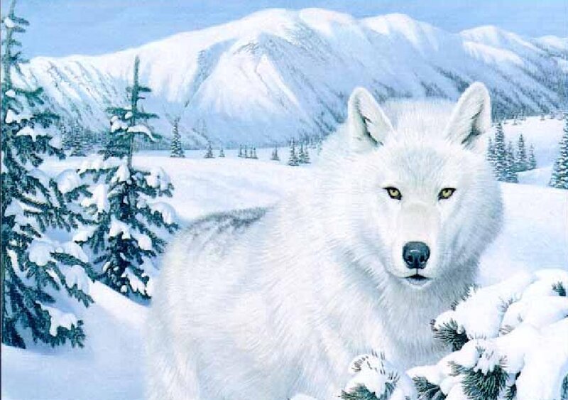 White Wolf in Snow — Serene, Winter, Digital Art