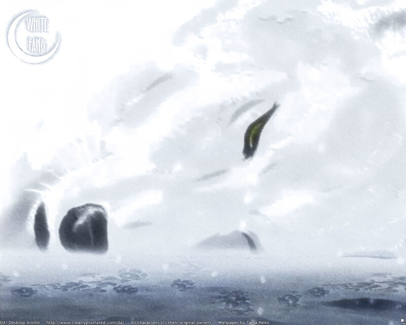 white wolf in snowstorm