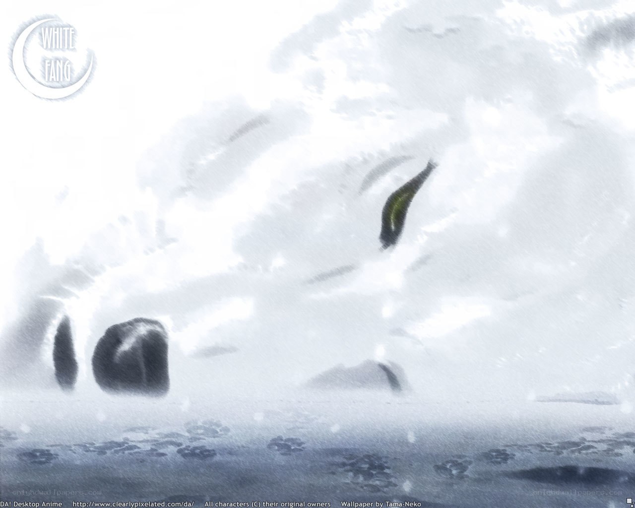white wolf in snowstorm