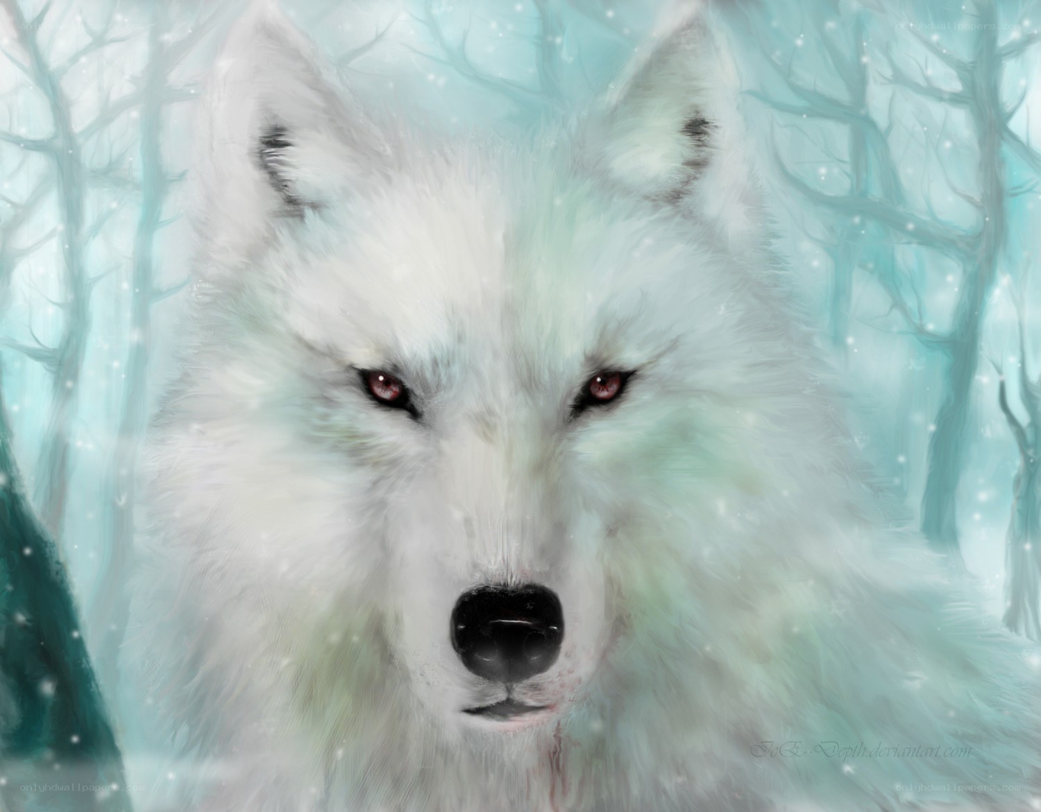 white wolf in snowy forest