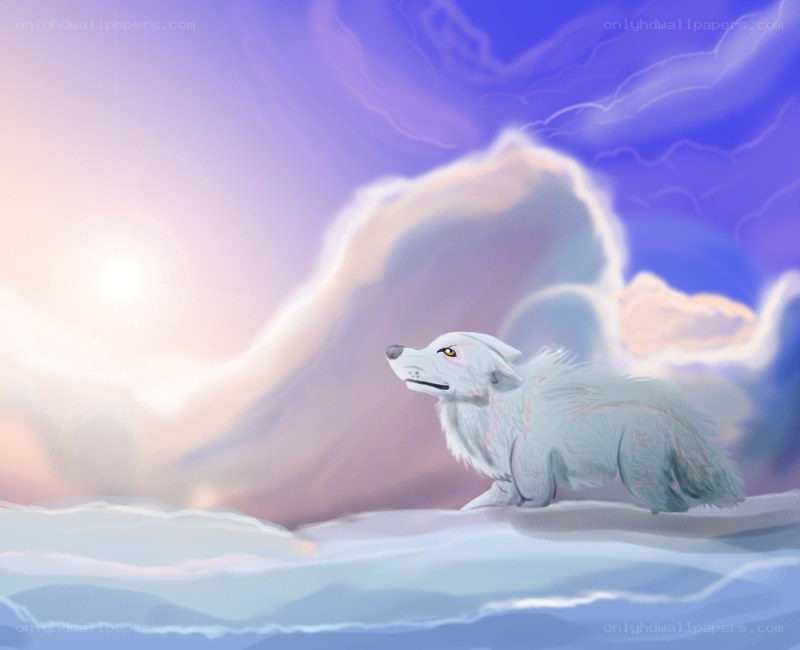 white wolf in snowy landscape