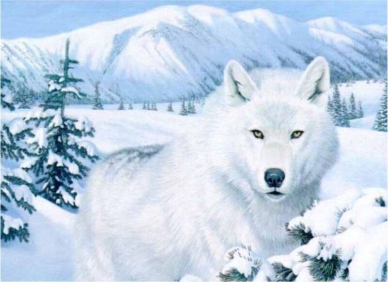 white wolf in snowy landscape