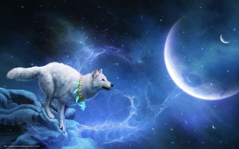 White wolf in space
