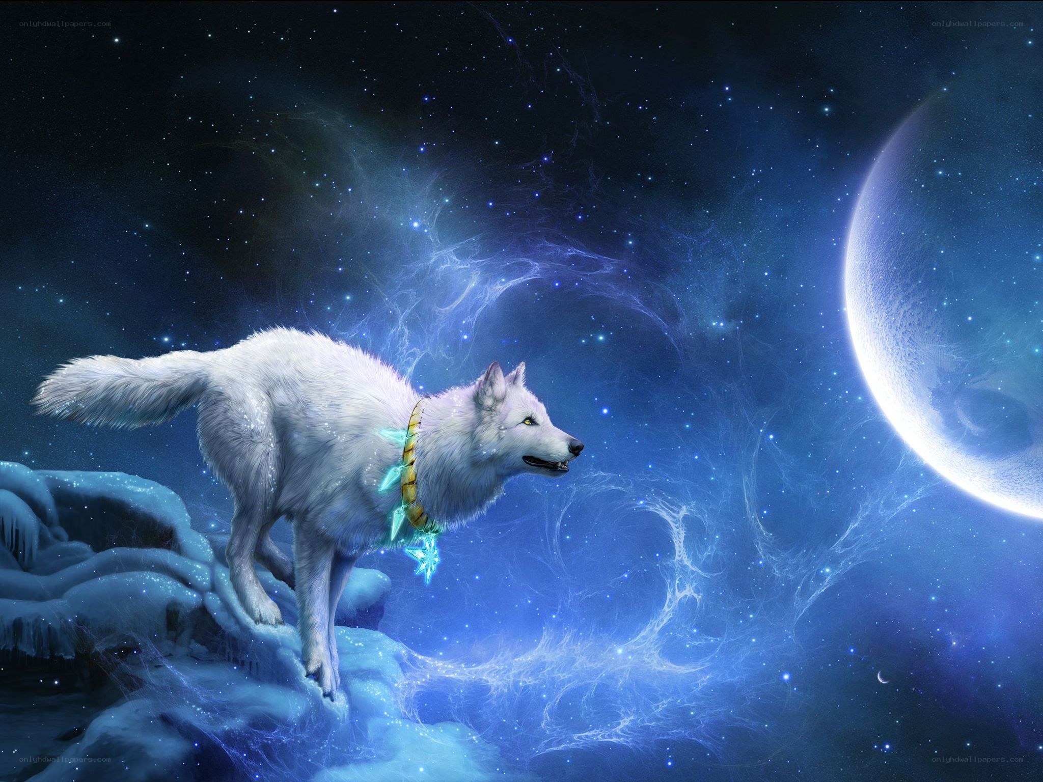 white wolf in space