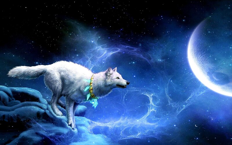 white wolf in space