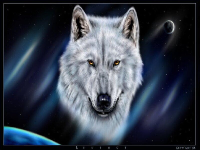 White Wolf in Space — Blue, Dramatic, Night