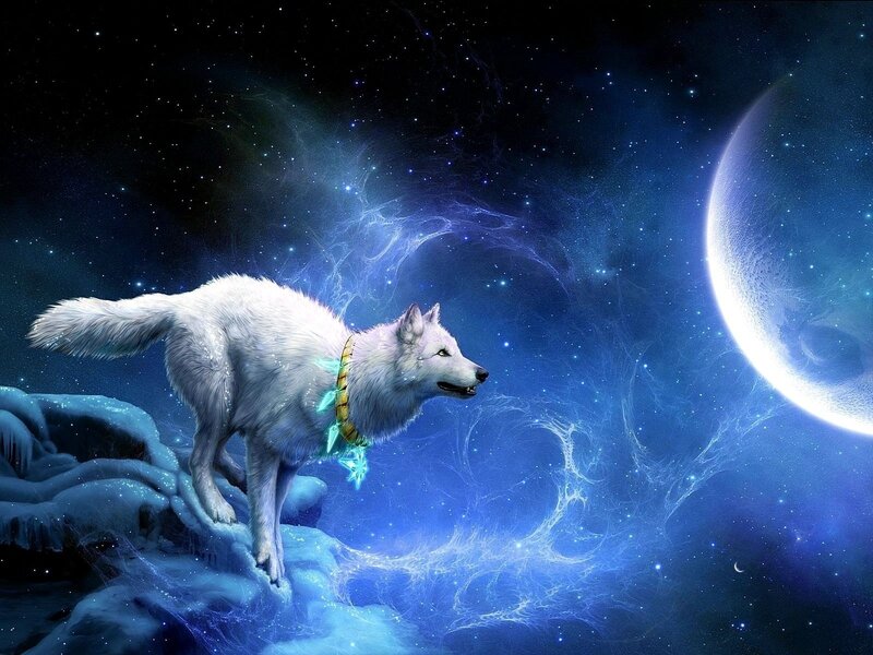 white wolf in space