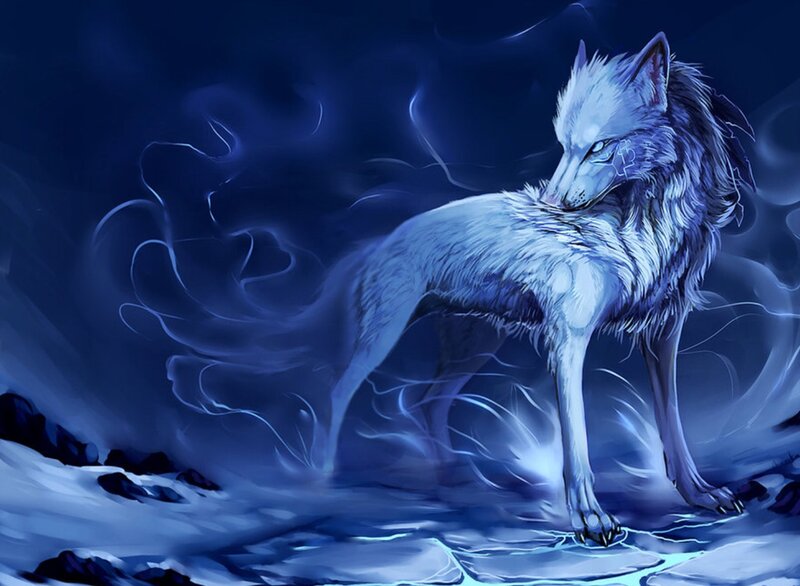 White Wolf in Storm — Blue, Dramatic