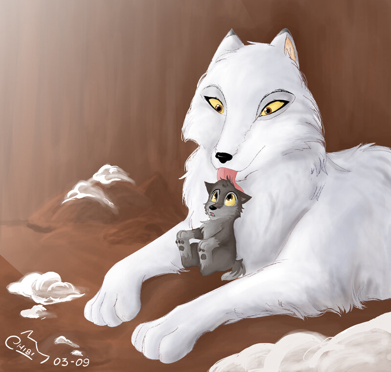 White Wolf Licking Cub