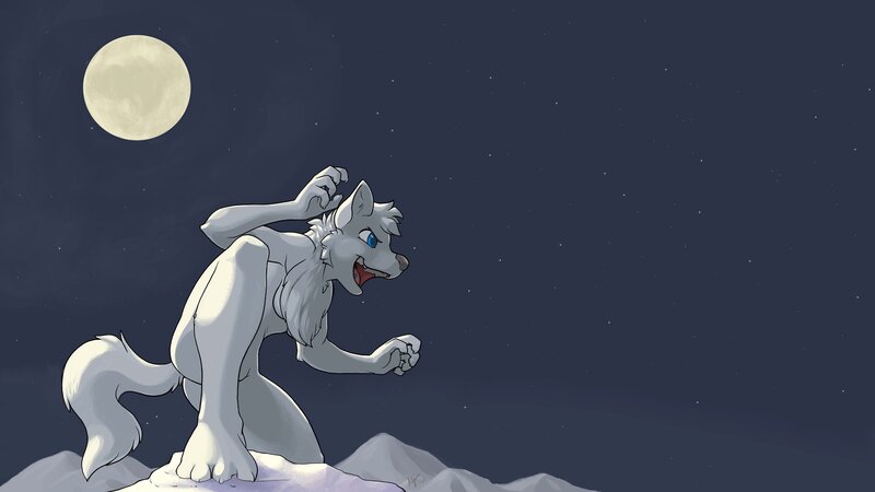 White Wolf-like Creature — Gray