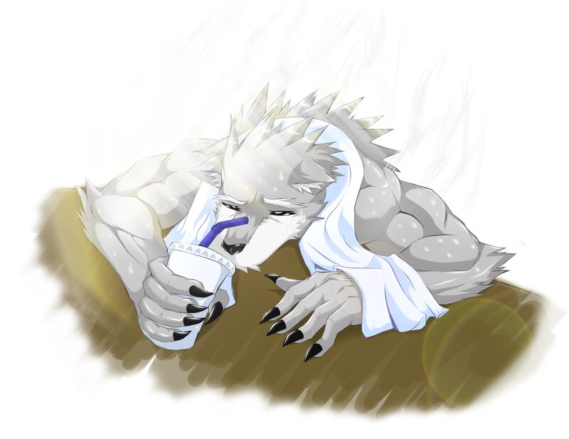 White Wolf-like Creature