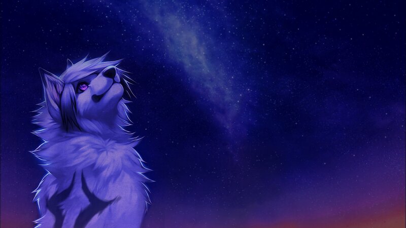 White Wolf Looking Up — Blue