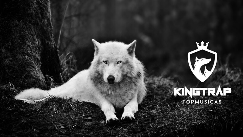 White Wolf Lying Down — Black, Serious, Photograph