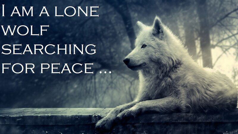 White Wolf Lying Down — Gray