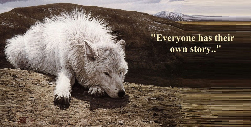 White Wolf Lying Down — Melancholic