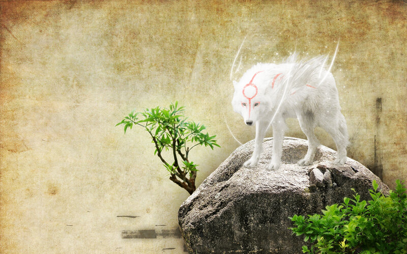 white wolf on a rock