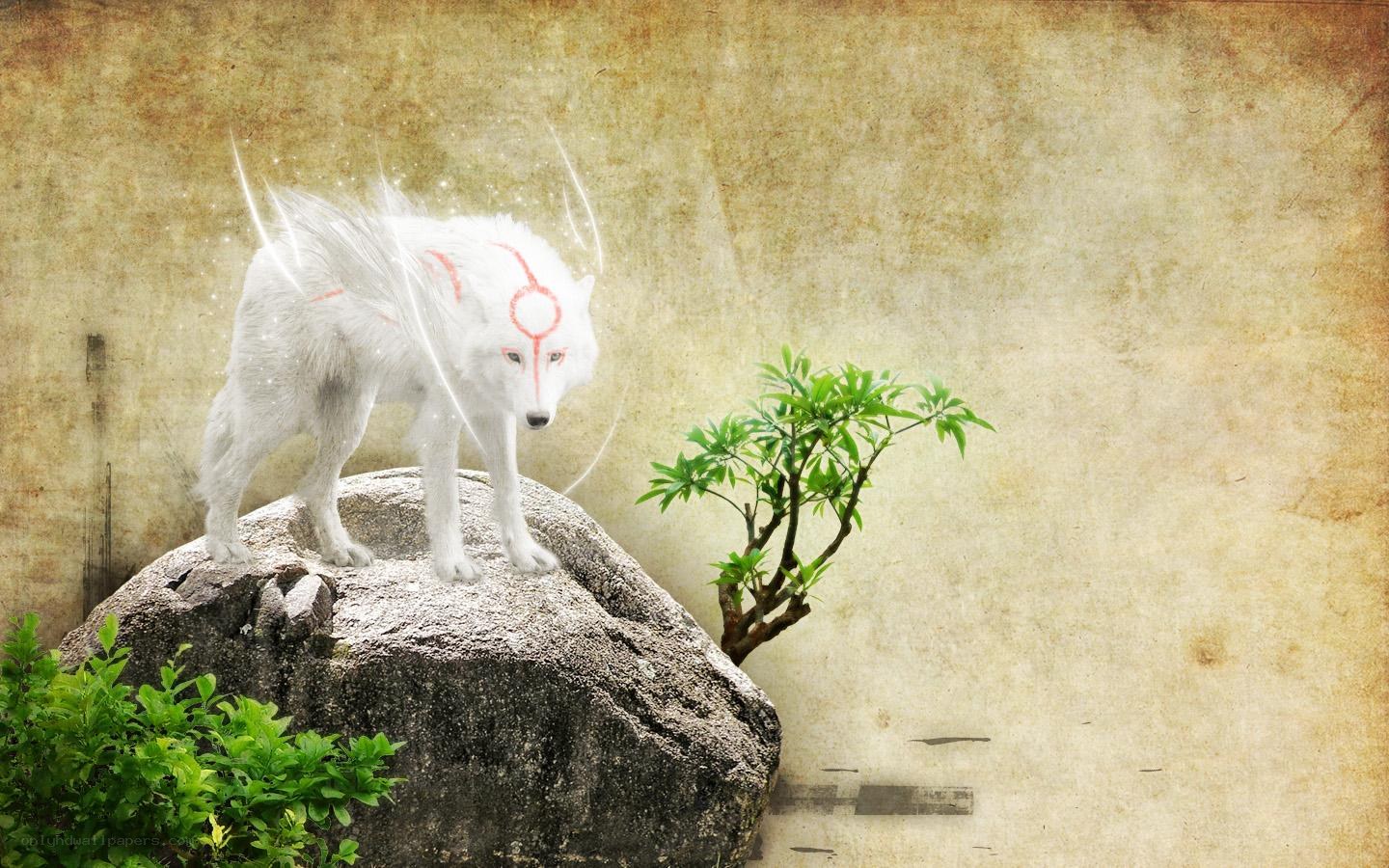 white wolf on a rock