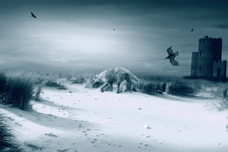White Wolf on Beach