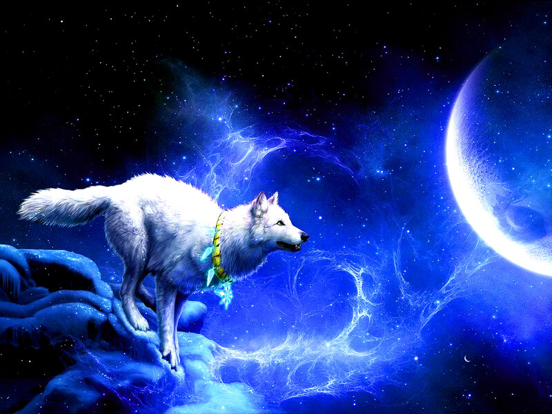 White Wolf on Cliff — Blue, Dramatic, Night, Digital Art, Moon