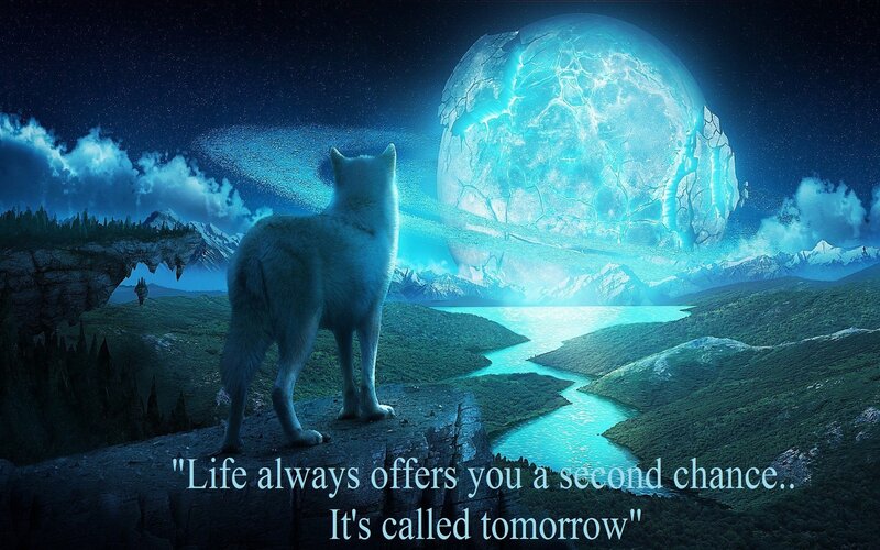 White Wolf on Cliff — Blue, Dramatic, Night
