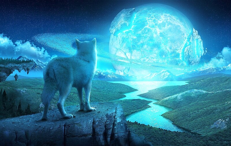 White Wolf on Cliff — Blue, Serene, Night
