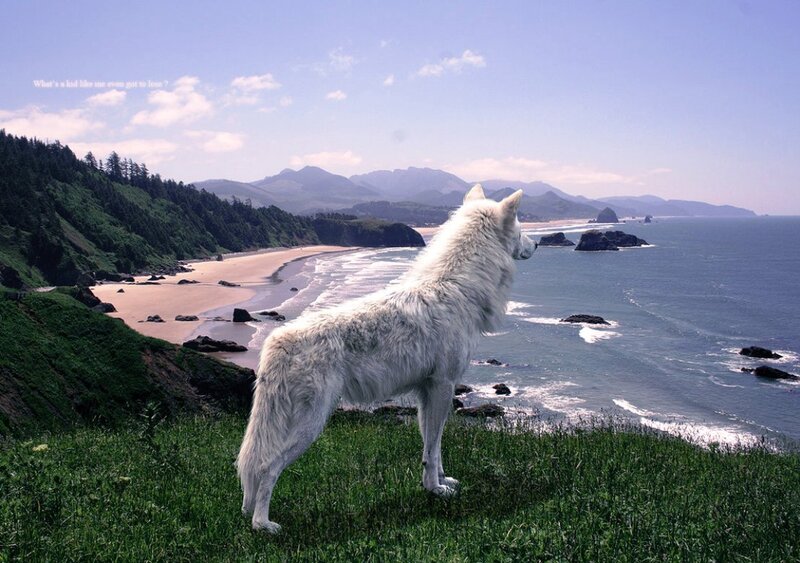 White Wolf on Cliff — Green