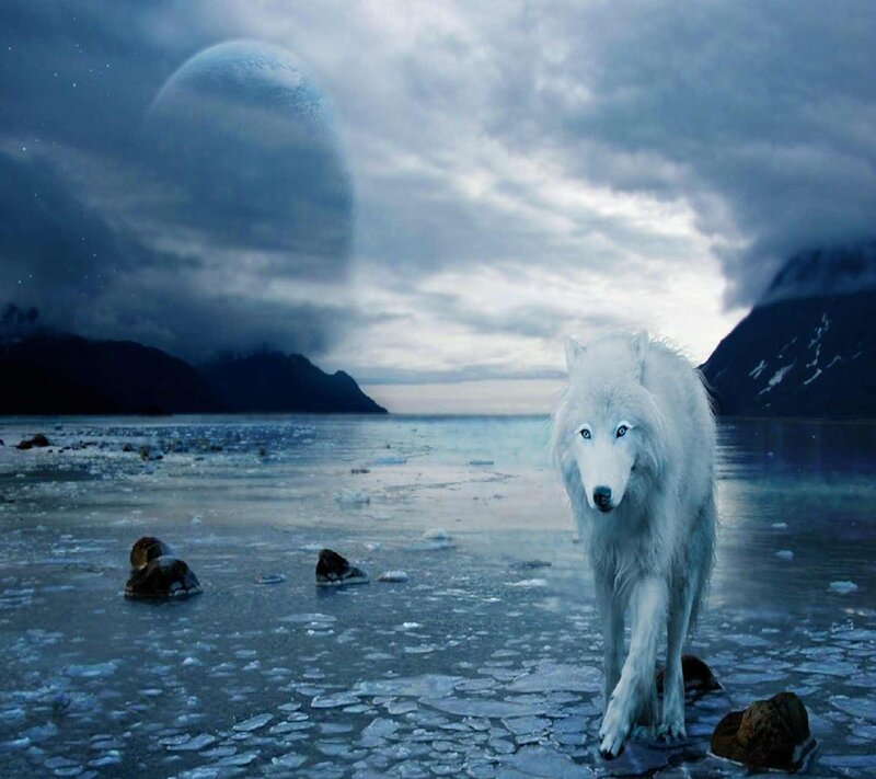 White Wolf on Ice — Blue, Dramatic, Night, Digital Art, Mountains