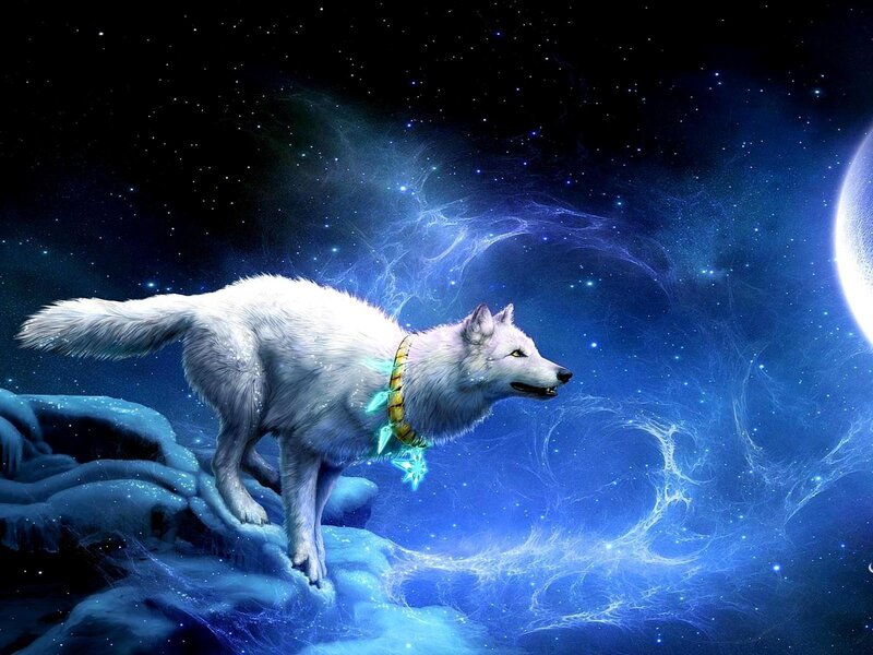 White Wolf on Ice — Blue, Dramatic, Night