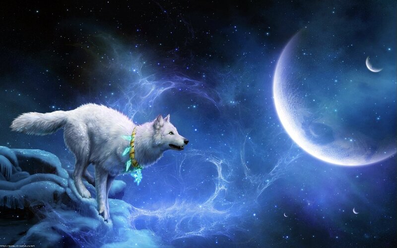 White Wolf on Ice — Blue, Serene, Night, Digital Art