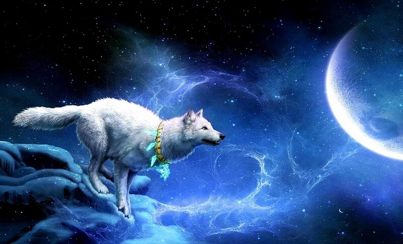 White Wolf on Ice — Blue, Serene, Night