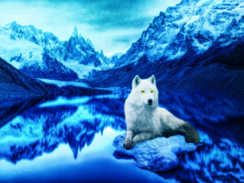 White Wolf on Ice — Blue, Serene, Winter