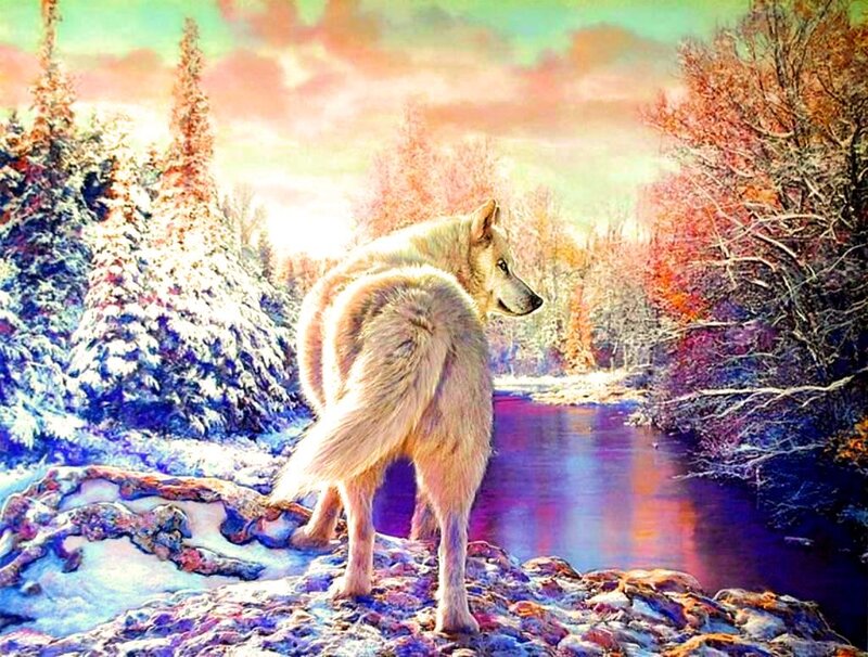 White Wolf on Riverbank