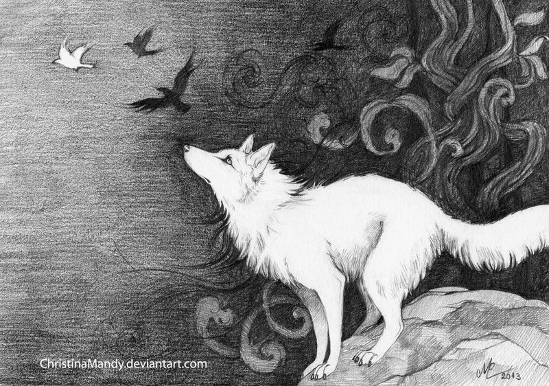 White Wolf on Rock — Black, Dramatic, Night