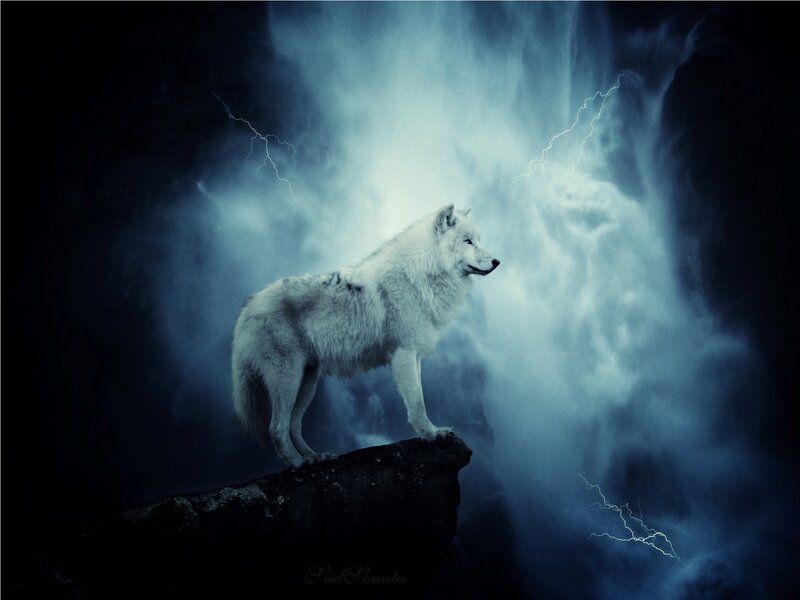 White Wolf on Rock — Blue, Dramatic, Night, Digital Art, Lightning