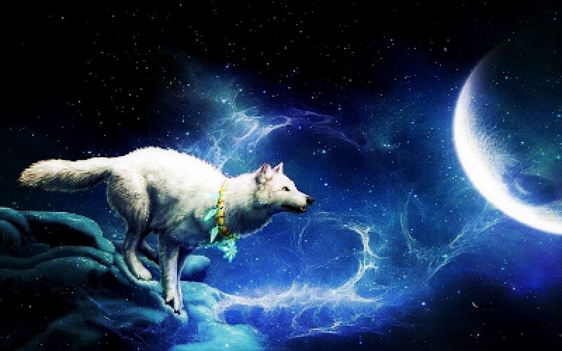White Wolf on Rock — Blue, Dramatic, Night, Digital Art