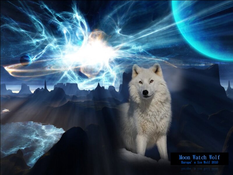 White Wolf on Rock — Blue, Dramatic