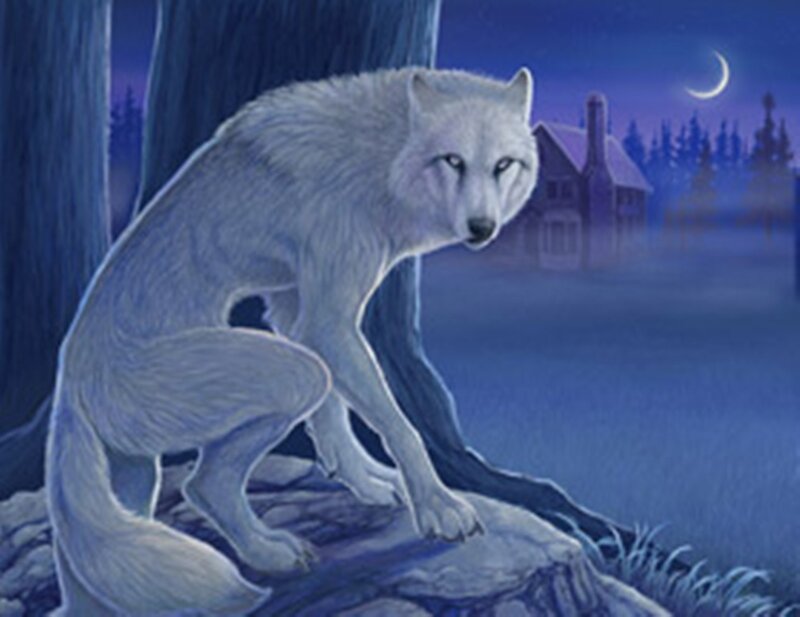 White Wolf on Rock — Blue