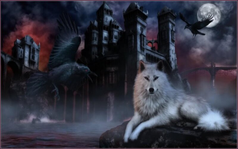 White Wolf on Rock — Gray