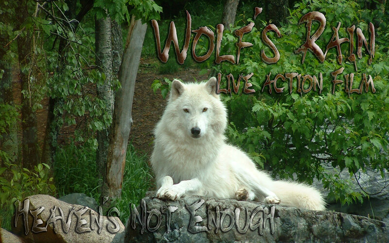 White Wolf on Rock — Green