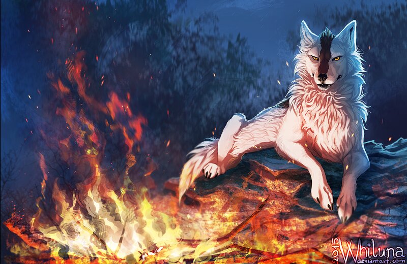 White Wolf on Rocks — Blue, Dramatic