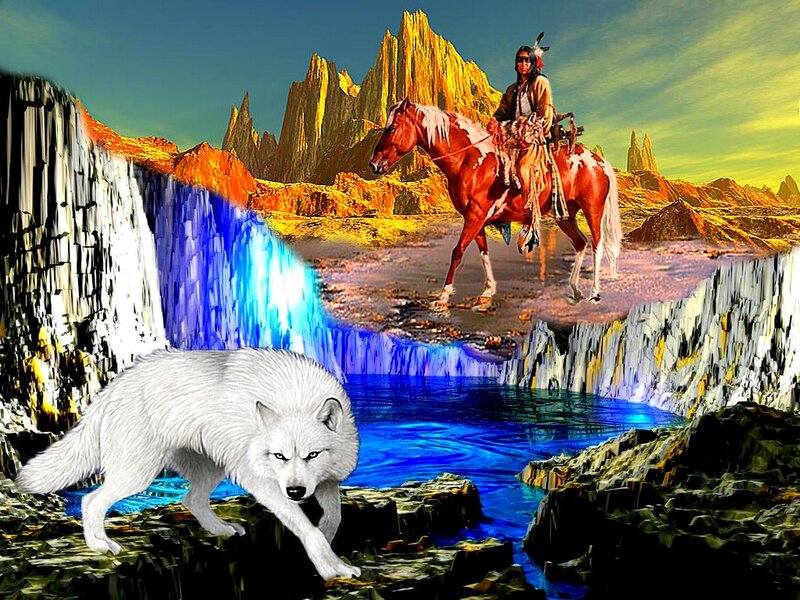 White Wolf on Rocks — Blue