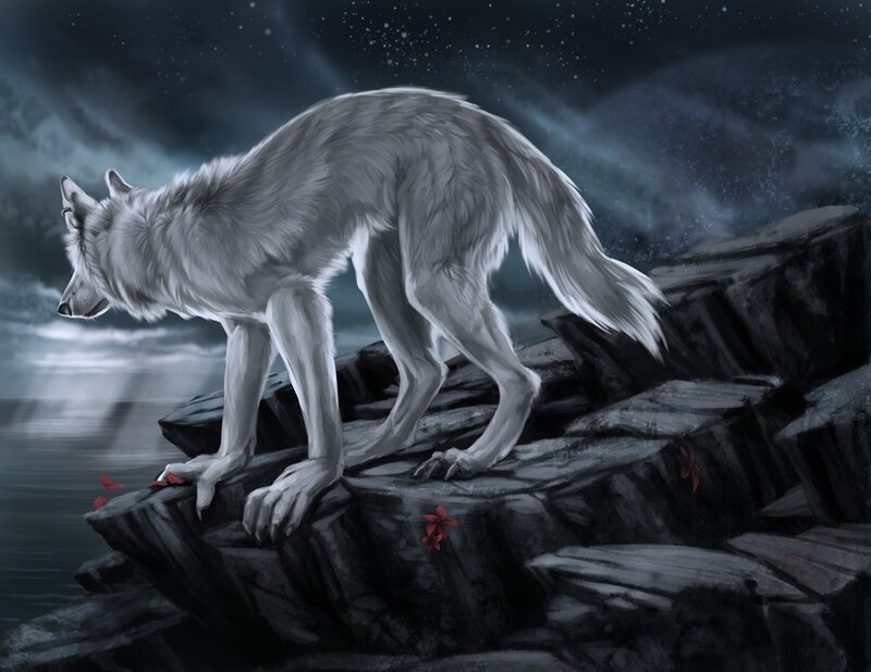 White Wolf on Rocks — Gray, Dramatic
