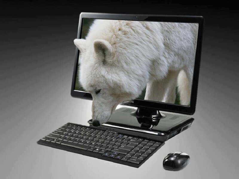 White Wolf on Screen