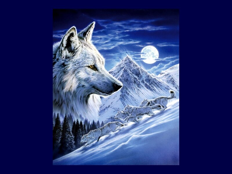 White Wolf Pack