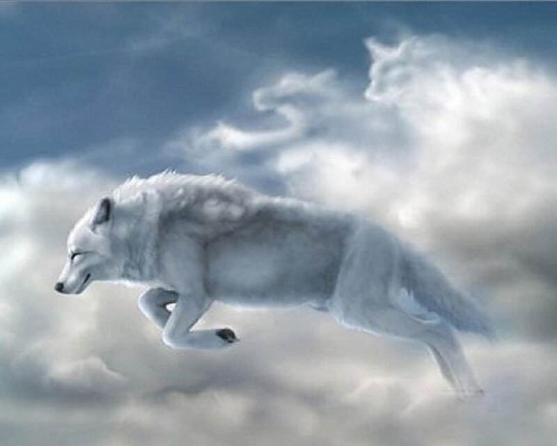 White Wolf Running — Dramatic