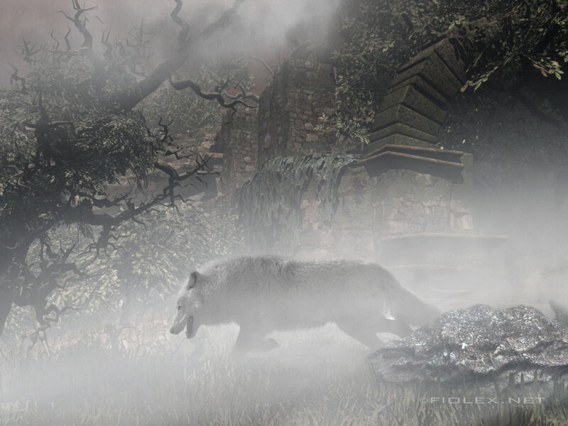 White Wolf Running — Gray