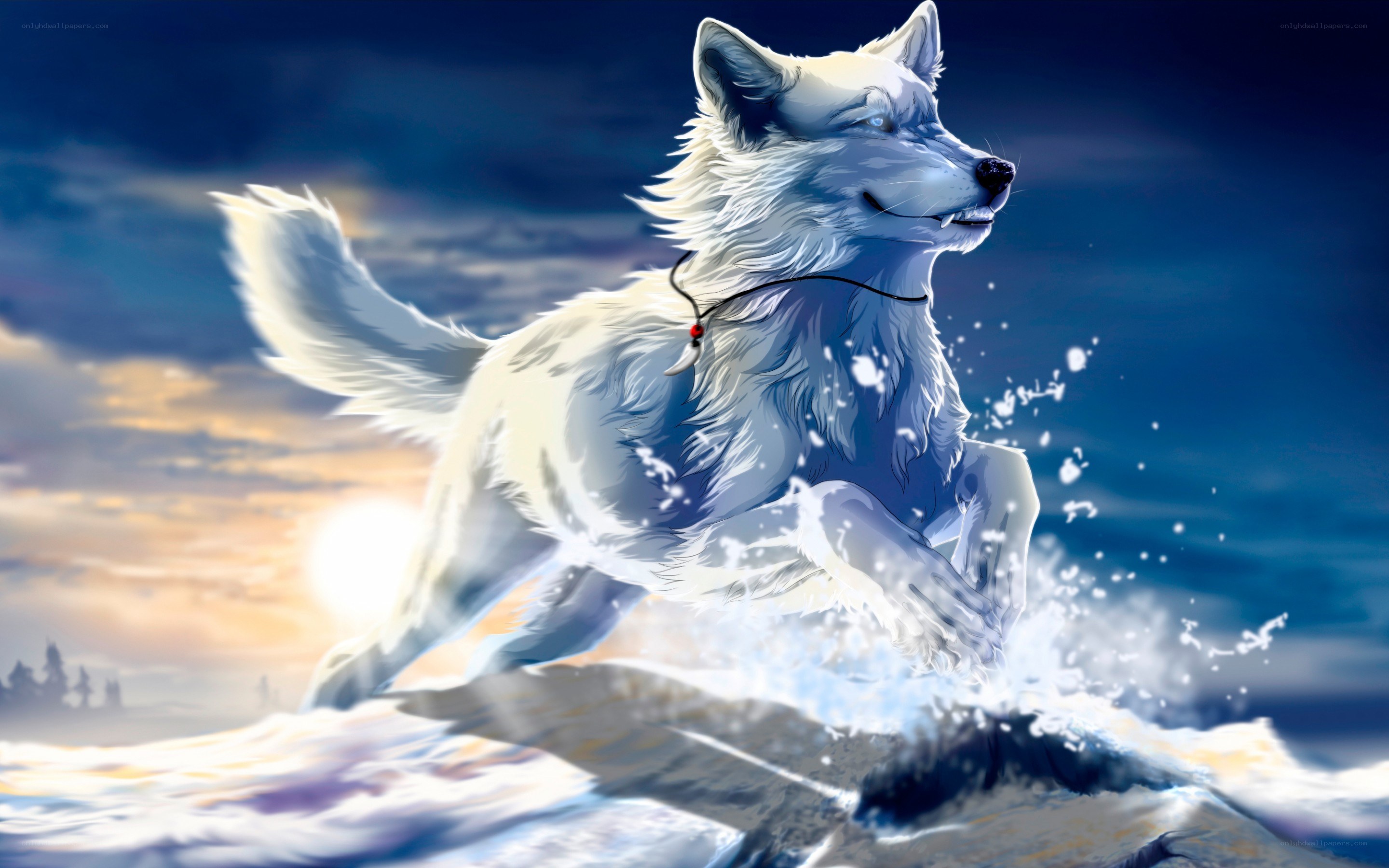 white wolf running in snow